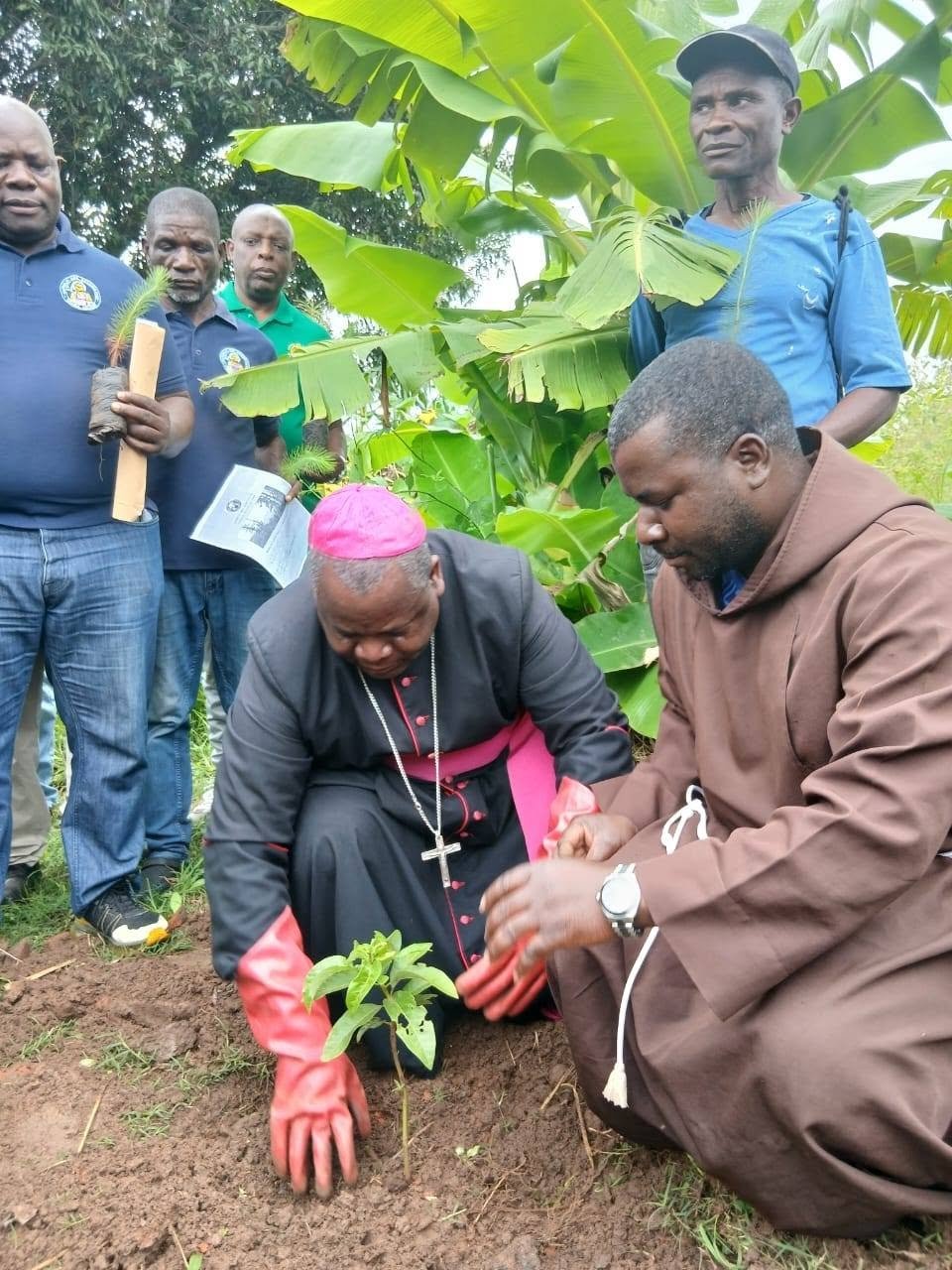 Catholic Men Urged to Champion Tree Planting